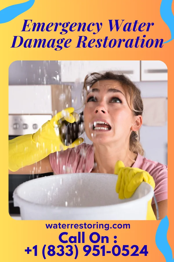 Emergency Water Damage Restoration in Crystal Lawns, IL