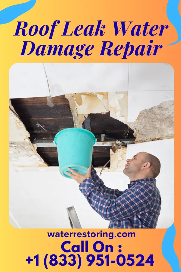 Roof Leak Water Damage Repair in Crystal Lawns, IL